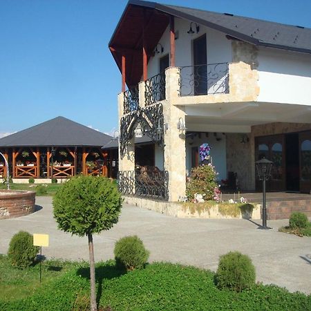Pension La Taticu Sacalaseni Exterior foto